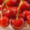 Sour Cherry