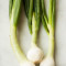 Scallions Scallions